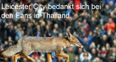 Leicester City Thailand