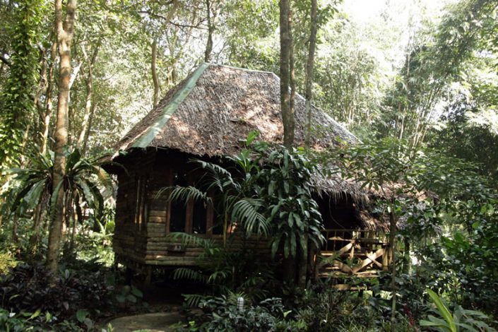 Khao Sok Riverside Cottage