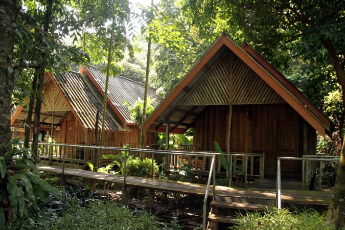 Khao Sok Riverside Cottage