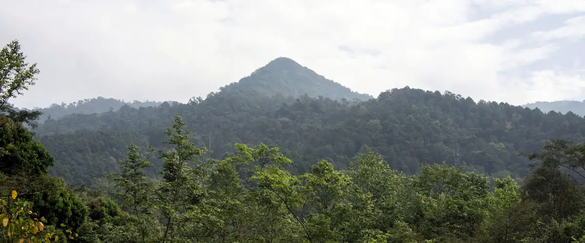 Doi Phu Kha Nationalpark