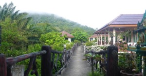 Khao Sok Jungle Huts – Hotel
