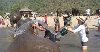 Chiang Mai Elefantenpark