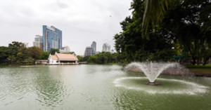 Der Lumphini-Park in Bangkok