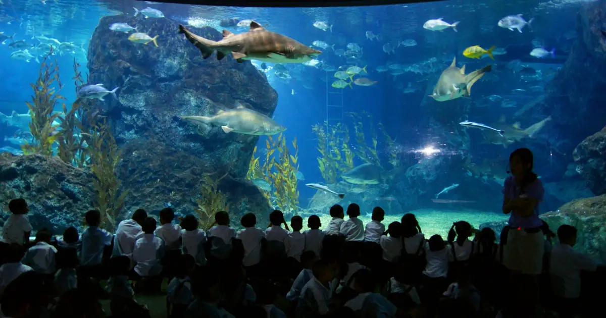 Die Sea Life Siam Ocean World in Bangkok