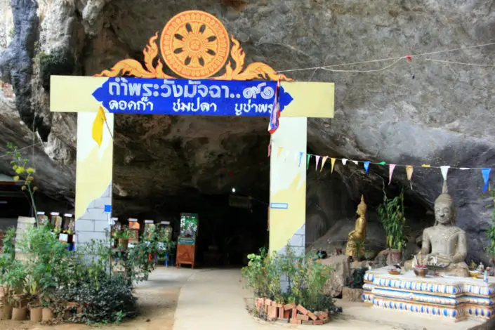 Fishcave Khao Sok