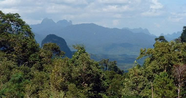 Khao Sok Mountains