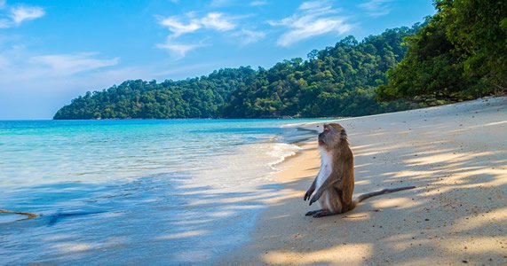Strandurlaub in Thailand Geheimtipps für den Trip ins Paradies