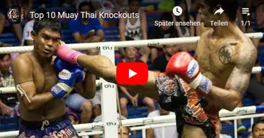 Videos Muay Thai Thailand