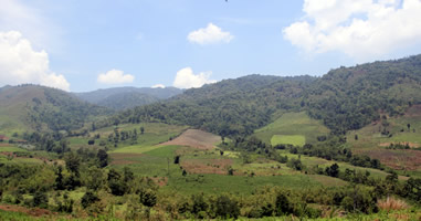 Landschaft Umphang