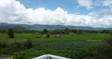 Reisfarm